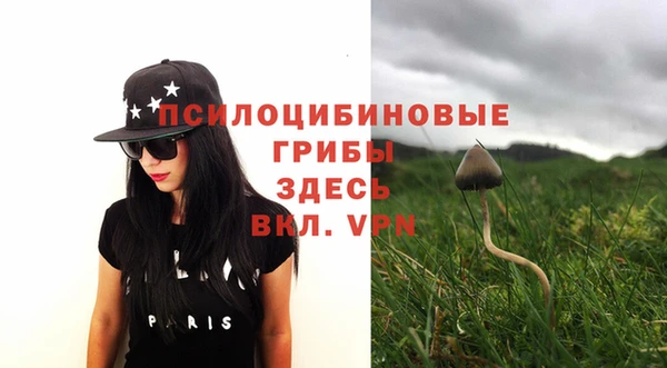 скорость Липки