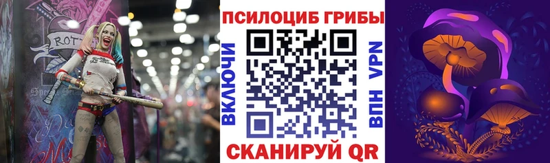 Купить где  Закаменск  Псилоцибиновые грибы Magic Shrooms 